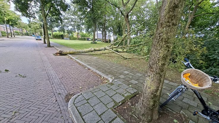 Hazelaarlaan Zwolle