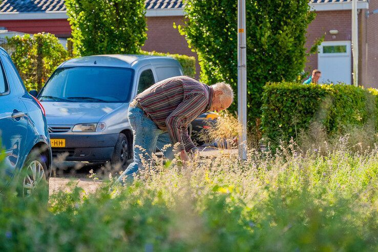 In beeld: Bewoners Kamperzeedijk pakken opnieuw 10 jaar groenonderhoud op