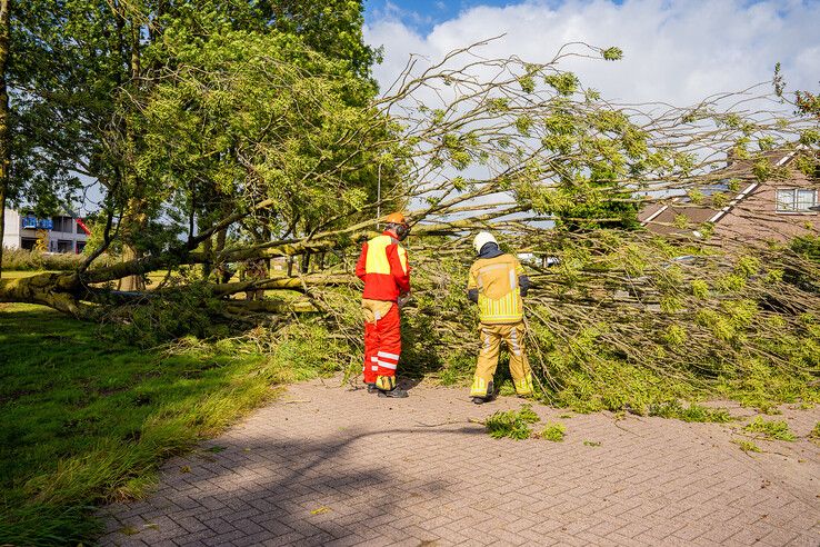 Brandweer bij omgewaaide boom in Kampen.