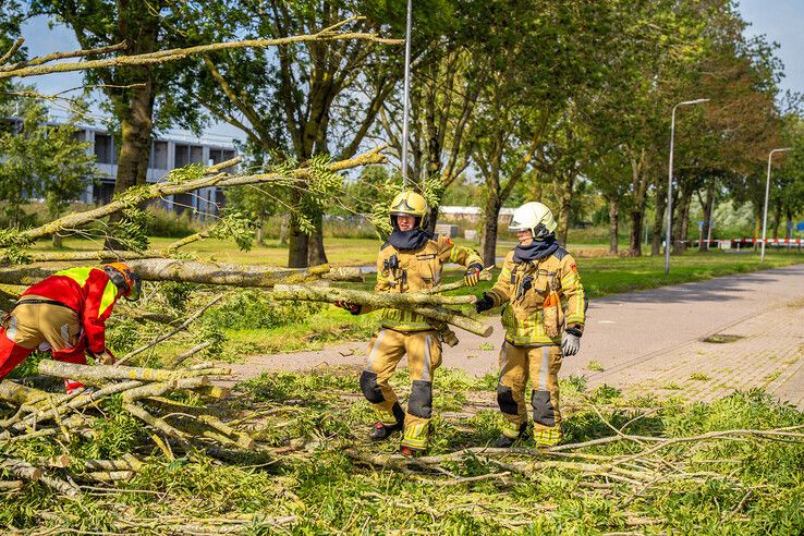 Boom waait om in Kampen, harde windstoten verwacht in IJsseldelta