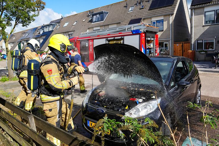 Steenmarter veroorzaakt autobrand in Zwolle