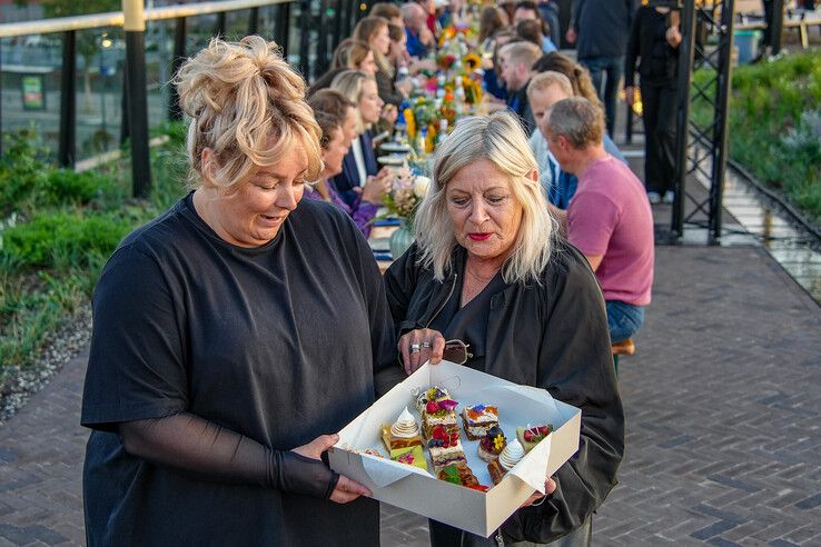 In beeld: Nieuwe houten loopbrug ‘Passerelle’ bij station Zwolle geopend