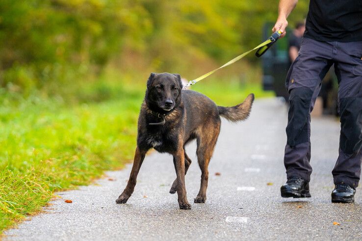 Bosgebied tussen Kampen en Dronten opnieuw doorzocht naar spoor van vermiste Jaskulski