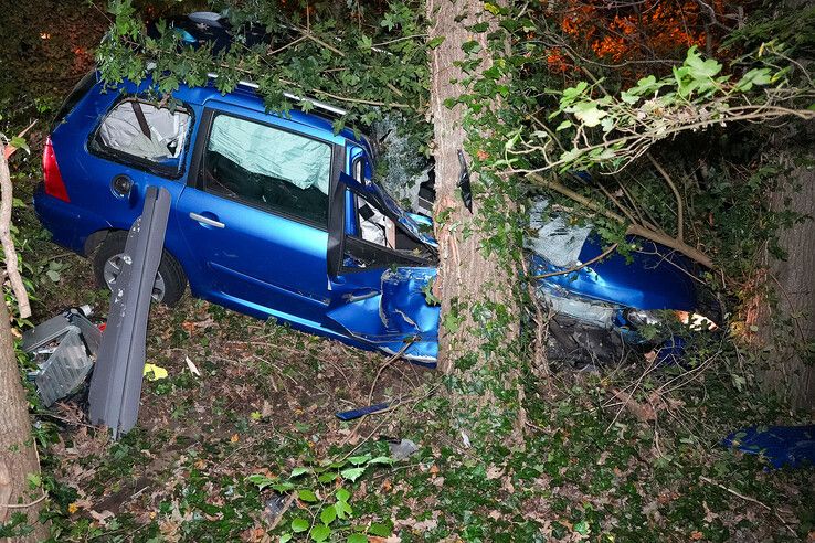 Auto tegen boom op Spoolderbergweg in Zwolle.