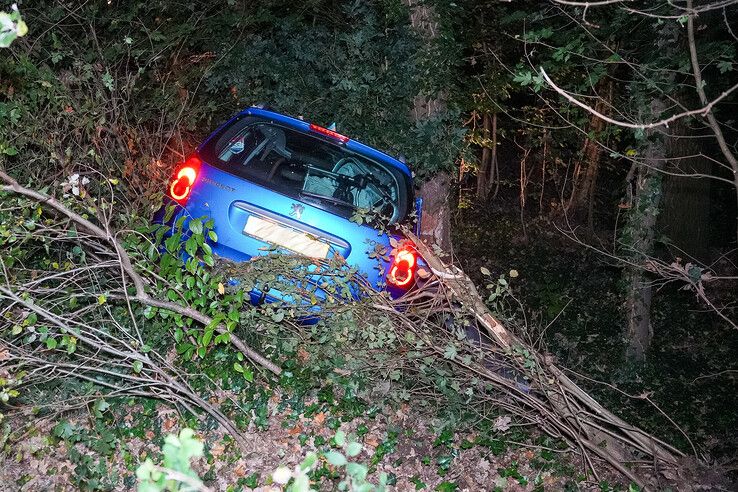 Auto botst tegen boom op Spoolderbergweg in Zwolle