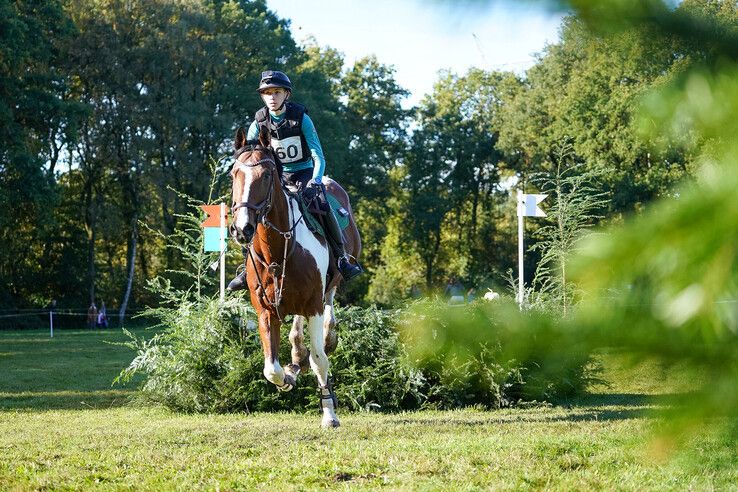 In beeld: Hattem geniet van paardensport en natuur tijdens Molecaten Ruiterdag