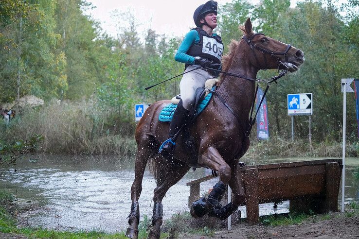 In beeld: Hattem geniet van paardensport en natuur tijdens Molecaten Ruiterdag