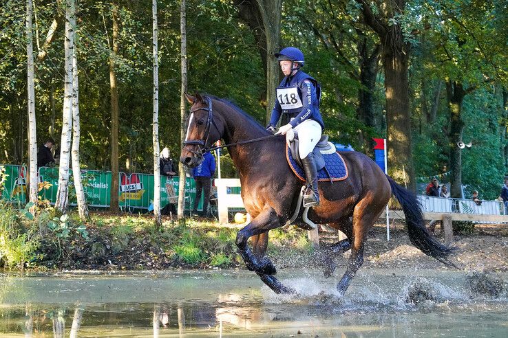 In beeld: Hattem geniet van paardensport en natuur tijdens Molecaten Ruiterdag