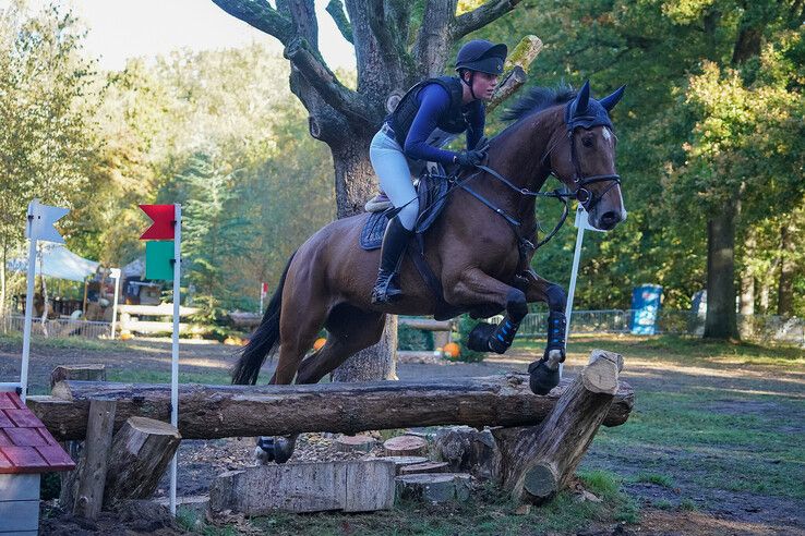 In beeld: Hattem geniet van paardensport en natuur tijdens Molecaten Ruiterdag