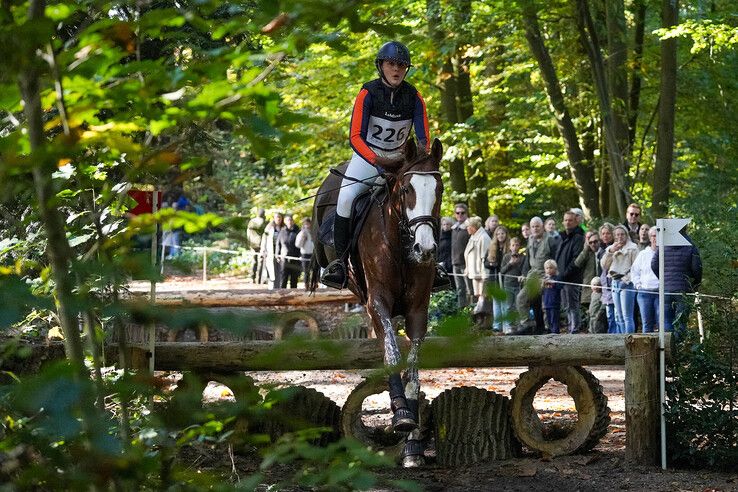 In beeld: Hattem geniet van paardensport en natuur tijdens Molecaten Ruiterdag