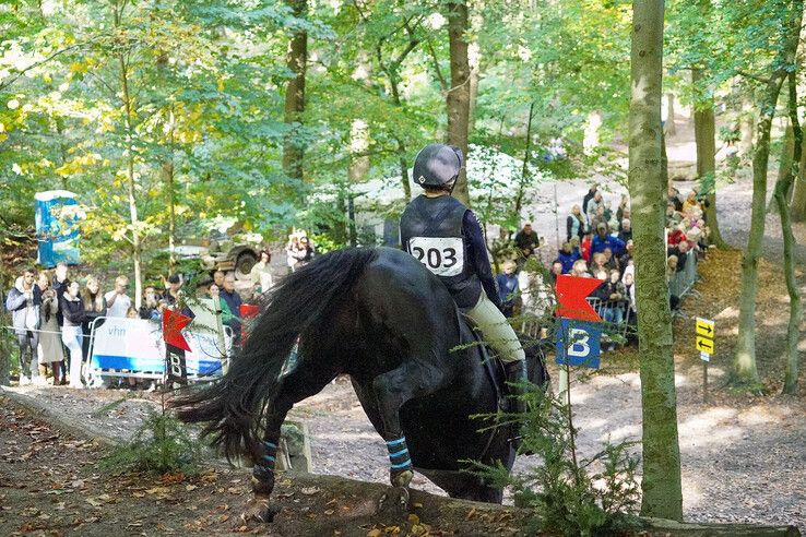 In beeld: Hattem geniet van paardensport en natuur tijdens Molecaten Ruiterdag