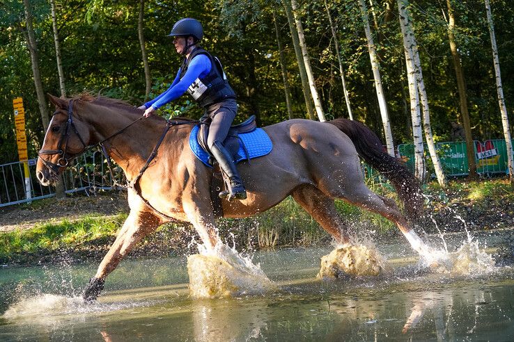 In beeld: Hattem geniet van paardensport en natuur tijdens Molecaten Ruiterdag