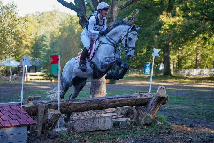 In beeld: Hattem geniet van paardensport en natuur tijdens Molecaten Ruiterdag