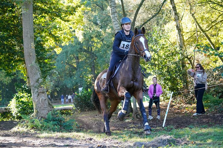 In beeld: Hattem geniet van paardensport en natuur tijdens Molecaten Ruiterdag