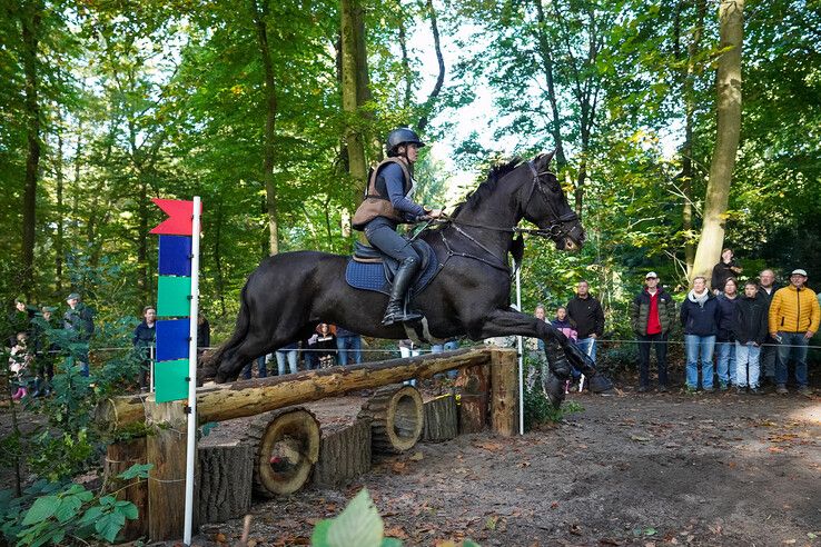 In beeld: Hattem geniet van paardensport en natuur tijdens Molecaten Ruiterdag