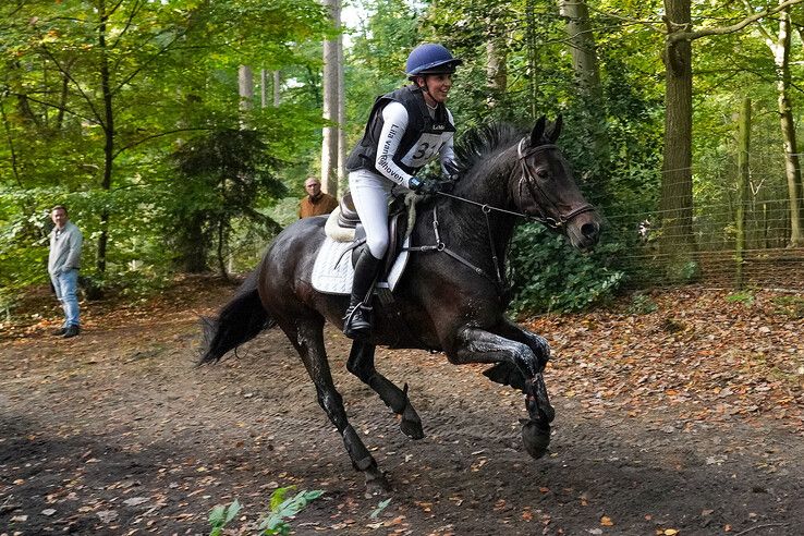 In beeld: Hattem geniet van paardensport en natuur tijdens Molecaten Ruiterdag