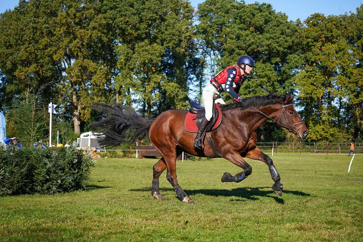 In beeld: Hattem geniet van paardensport en natuur tijdens Molecaten Ruiterdag