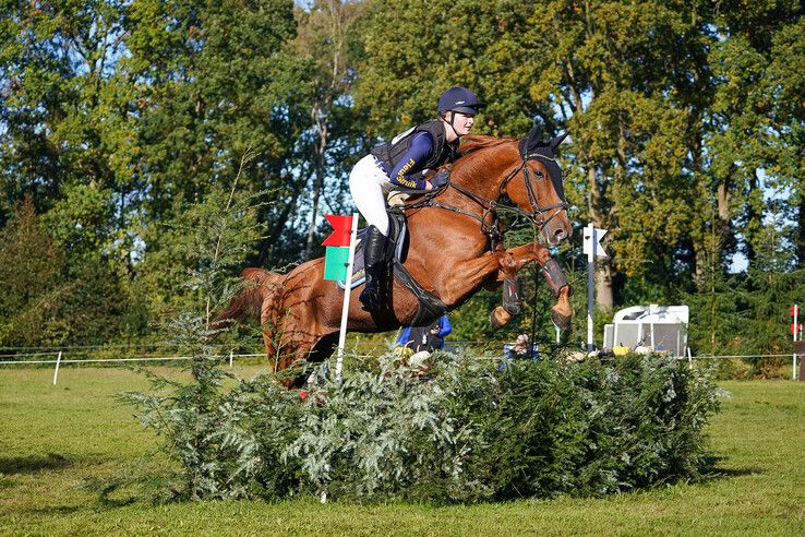 In beeld: Hattem geniet van paardensport en natuur tijdens Molecaten Ruiterdag