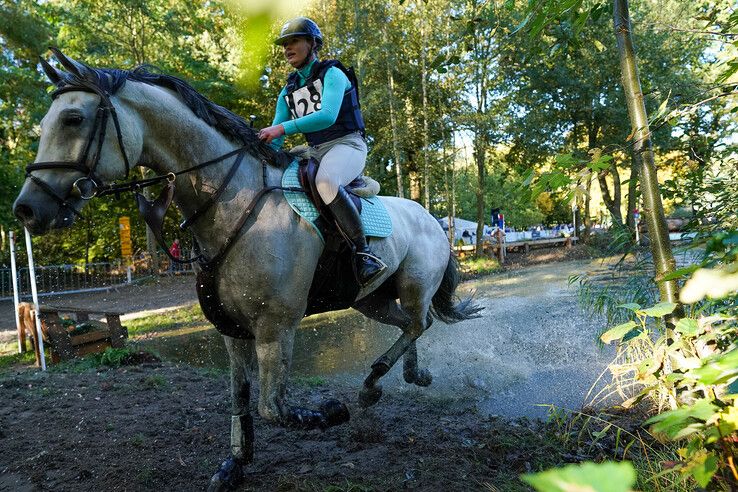 In beeld: Hattem geniet van paardensport en natuur tijdens Molecaten Ruiterdag