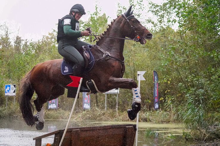 In beeld: Hattem geniet van paardensport en natuur tijdens Molecaten Ruiterdag
