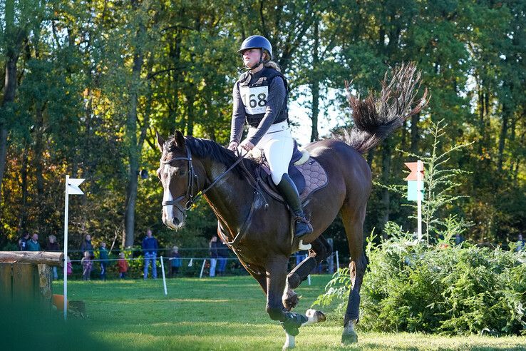 In beeld: Hattem geniet van paardensport en natuur tijdens Molecaten Ruiterdag