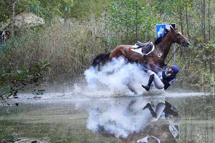In beeld: Hattem geniet van paardensport en natuur tijdens Molecaten Ruiterdag