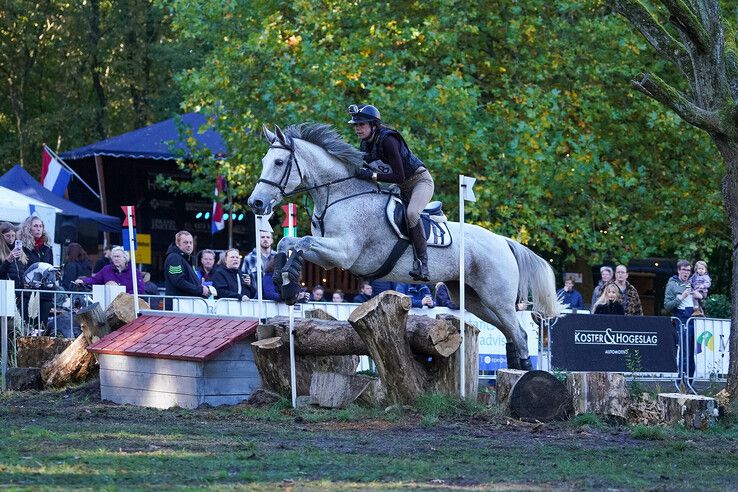 In beeld: Hattem geniet van paardensport en natuur tijdens Molecaten Ruiterdag