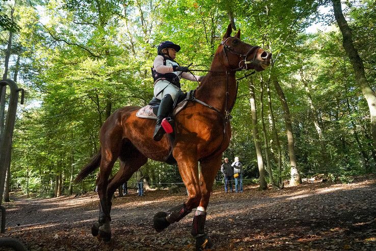 In beeld: Hattem geniet van paardensport en natuur tijdens Molecaten Ruiterdag