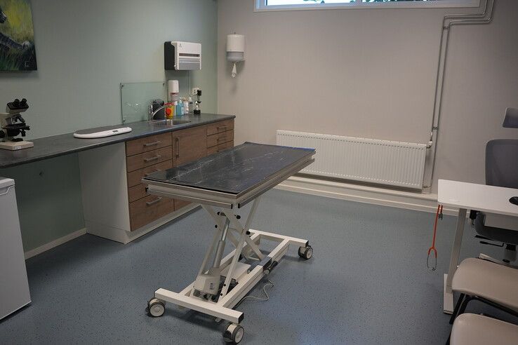 Een nieuw dierenparadijs in Zwolle: kliniek opent haar deuren