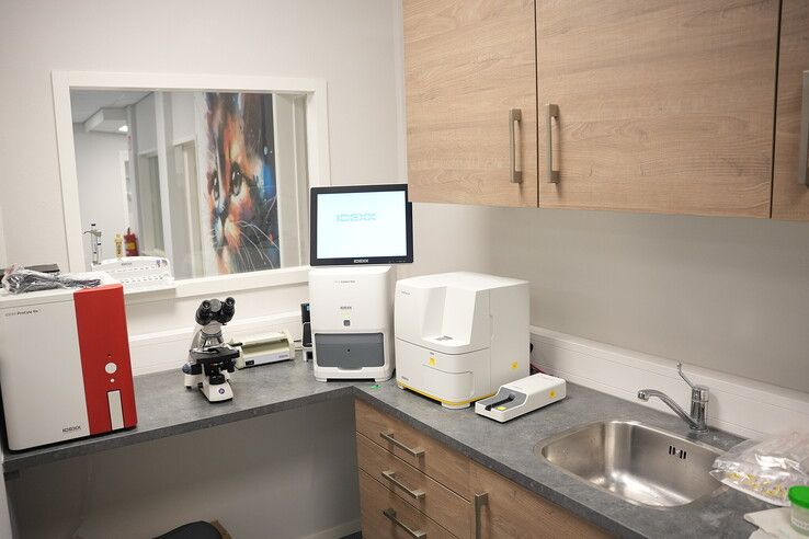 Een nieuw dierenparadijs in Zwolle: kliniek opent haar deuren