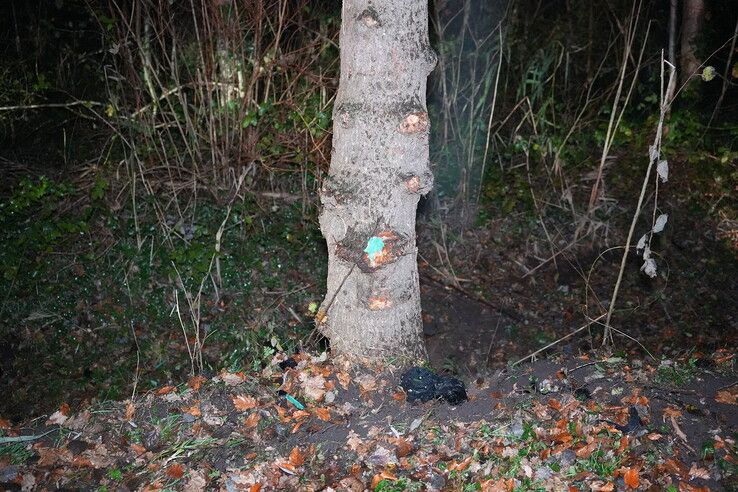 Bestelbus raakt van de weg op Kuyerhuislaan en botst tegen meerdere bomen