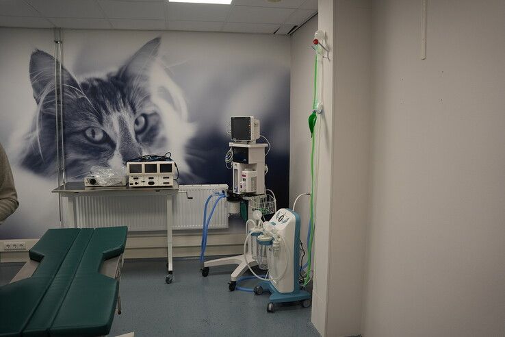 Een nieuw dierenparadijs in Zwolle: kliniek opent haar deuren