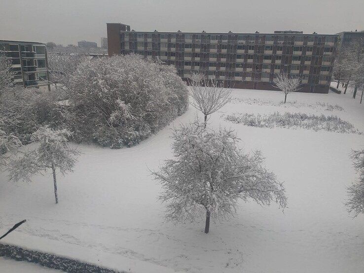 Winterpret nog niet voorbij: stuur je mooiste foto naar 1Zwolle