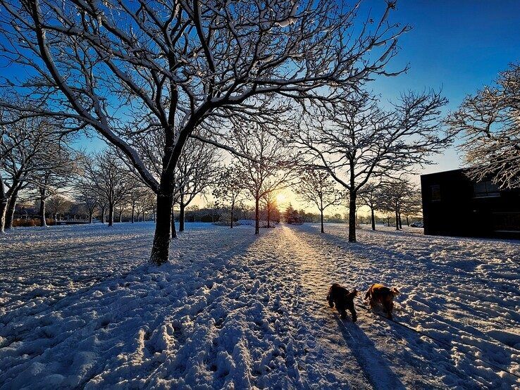 Winterpret nog niet voorbij: stuur je mooiste foto naar 1Zwolle