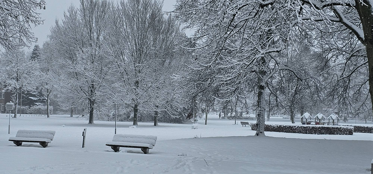 Winterpret nog niet voorbij: stuur je mooiste foto naar 1Zwolle