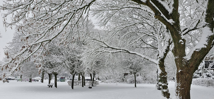 Winterpret nog niet voorbij: stuur je mooiste foto naar 1Zwolle