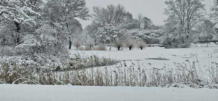 Winterpret nog niet voorbij: stuur je mooiste foto naar 1Zwolle