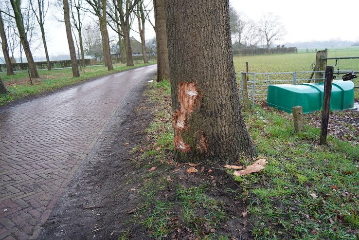 Auto botst tegen boom na schrikreactie op tegenligger