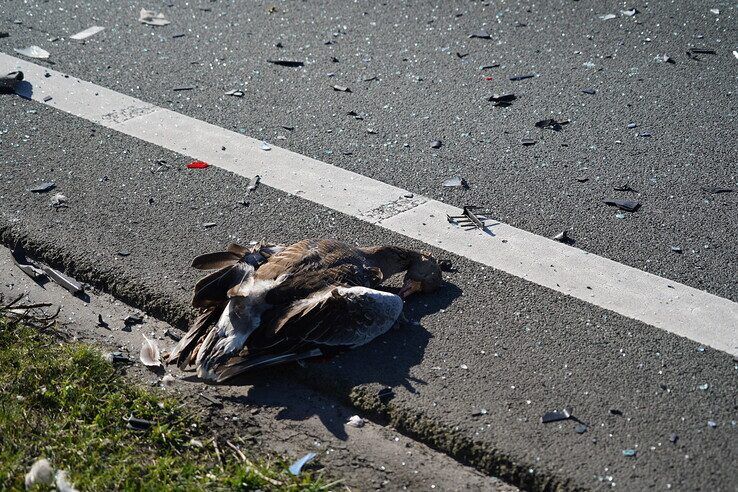 Moedereend komt om bij ongeval op N35 bij Zwolle