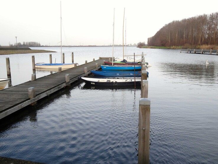Waterschap gaat zwemplassen controleren poepbacterie en blauwalg