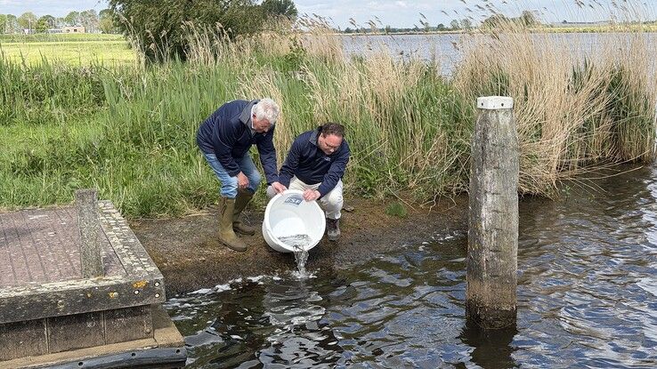Jonge palingen uitgezet in Kampen en Zwartewaterland