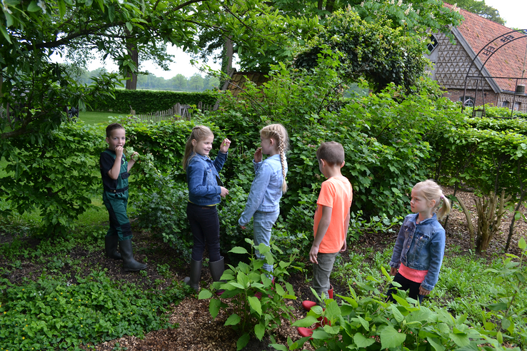 Pakketten met eetbare planten voor Overijsselse buurten, óók in Zwolle