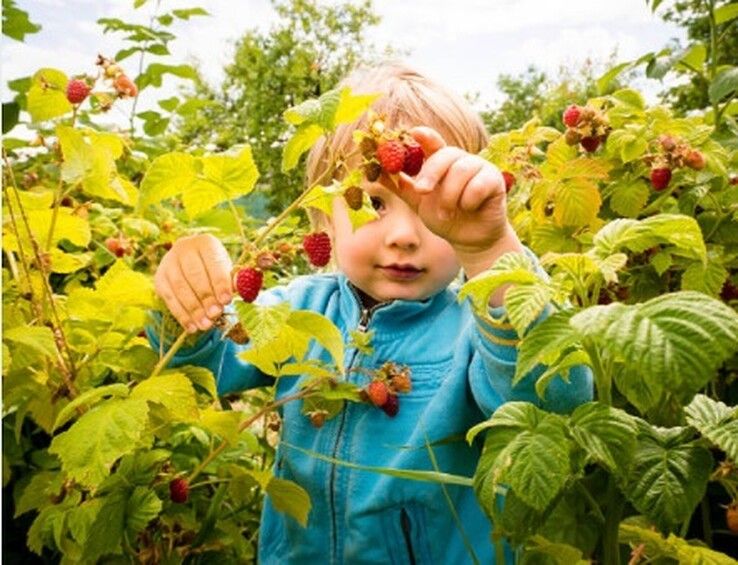 Groene Loper Zwolle start nieuwe editie van Proef de Natuur