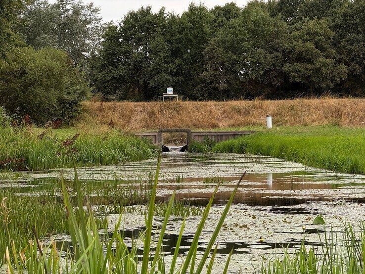 Regen geeft verlichting, maar droogte houdt aan in de regio