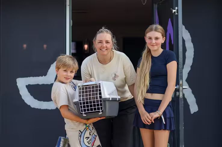 Twintig kittens geadopteerd in Zwolle: asiel spreekt zich uit tegen afschieten zwerfkatten