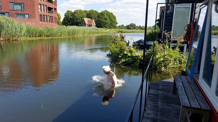 Zwolle profiteert voorlopig van gunstige ligging tijdens droogte