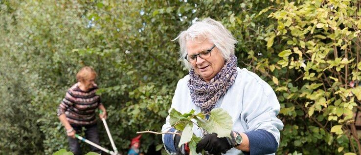 Overijssel geeft binnenkort subsidie voor lokale initiatieven