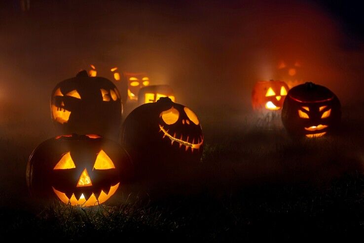 Griezelen in Zwolle-Zuid tijdens Halloween Spooktocht