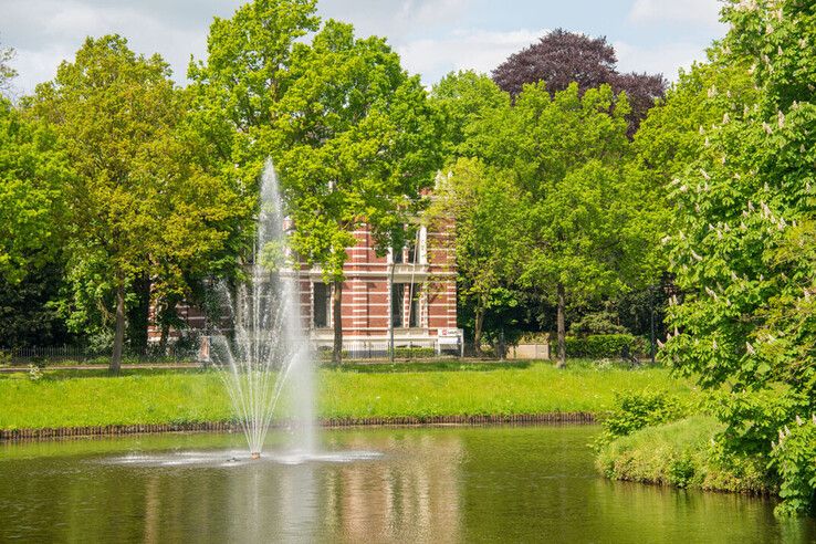 Deze 40 bomen moeten de reuzen van Zwolle worden