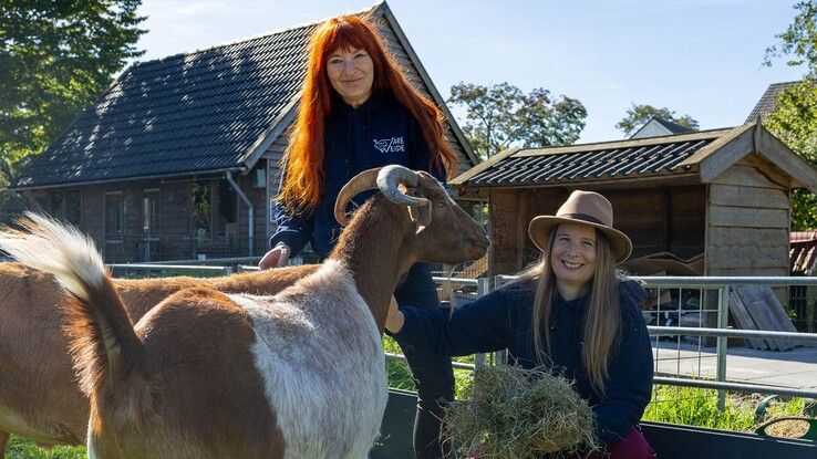 Een kleine dierenweide met grote zorgen: De Wareweide zoekt steun